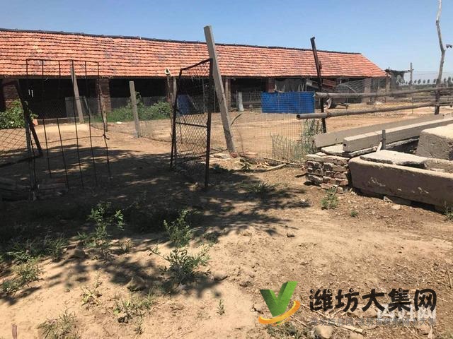 {快租免費尋址}昌邑角埠村好地段土地出租