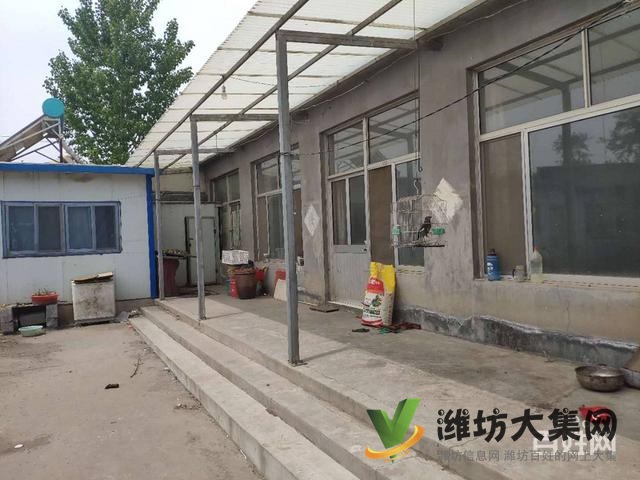 {快租免費尋址}坊子老區好地段廠房出租可整可分