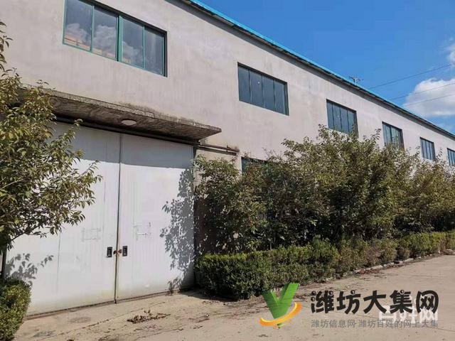 (快租免費(fèi)尋址)坊子新區(qū)濰縣中路帛方紡織對面?zhèn)}庫出租
