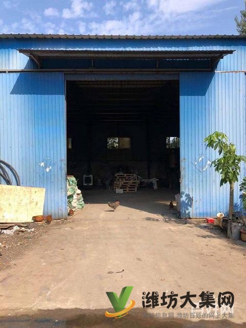 (快租免費尋址)濰城區(qū)望留鎮(zhèn)市場村廠房出租