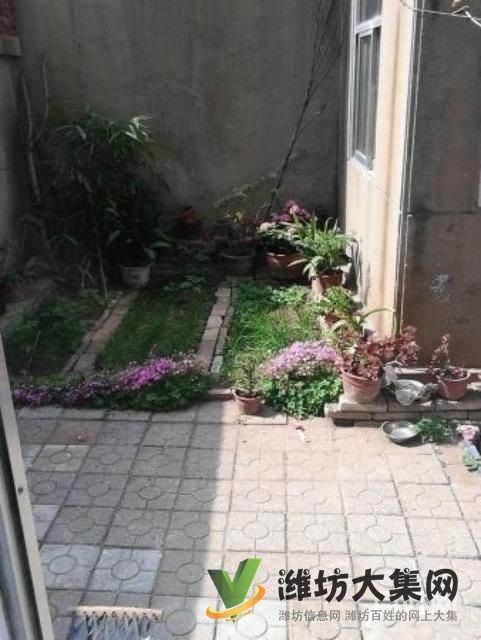 實驗廣文濰柴宿舍一樓帶院子精裝兩室朝陽