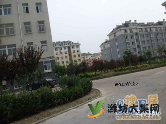 安順東區一樓 送地上車庫 精裝H戶型 139平米急