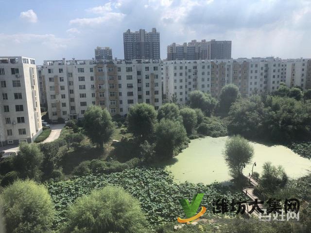 濰水藍灣六樓116平帶閣樓80平送車庫95萬證出稅