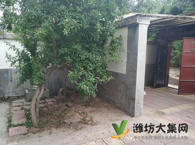 市中心新華* **多層一樓帶120平大院子南開門看