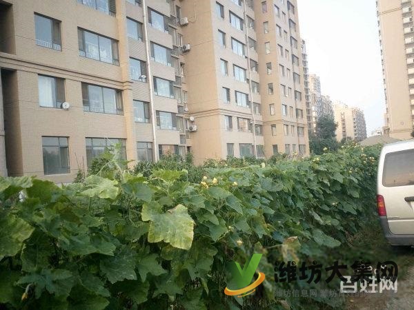 新市府南鄰紫瑞園3室2廳全明戶型房主外地發展急售