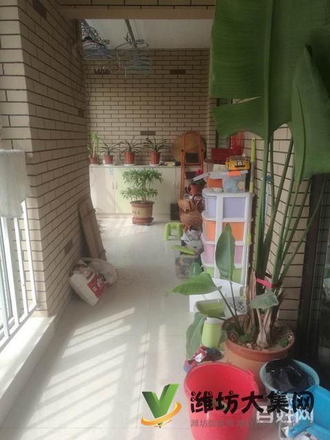 上城國(guó)際 3室2廳133平方123萬精裝修南北通透