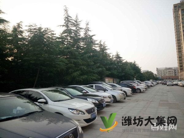 新市府南鄰紫瑞園3室2廳全明戶型房主外地發展急售