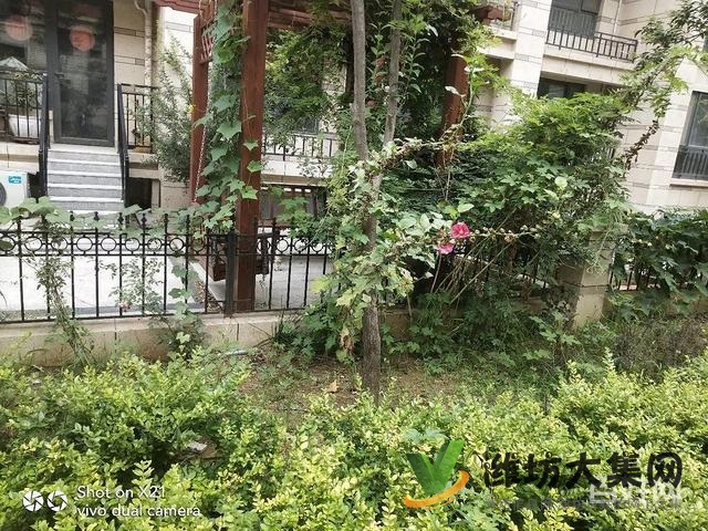 安丘一中學校緊鄰 尚水名邸一樓帶院 精裝拎包入住三