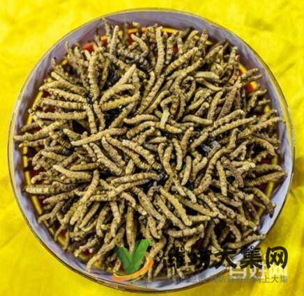 高價回收飛天茅臺酒、洋酒、路易十三、紅酒、拉菲等