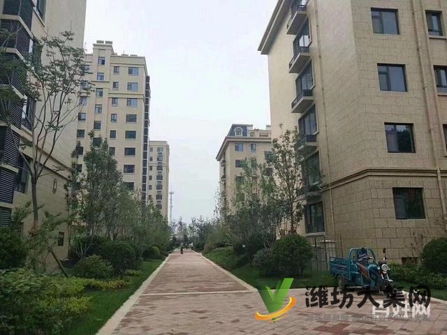 整租,圣基金碧廣場(chǎng) 2室85平挑高客廳 寬敞大氣 雙氣供暖