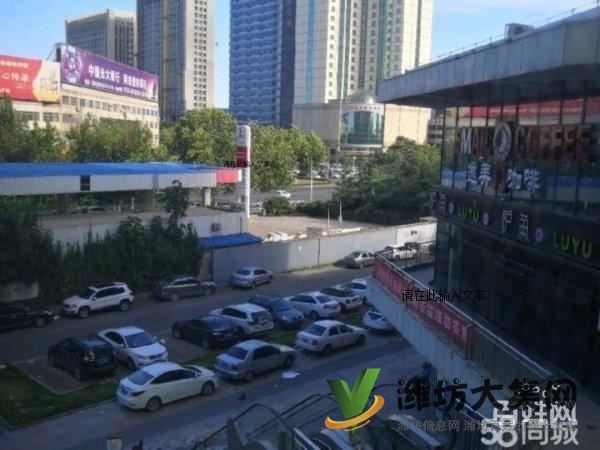 新華路丹桂里金街沿街帶租約出售精裝修 有隨時過戶
