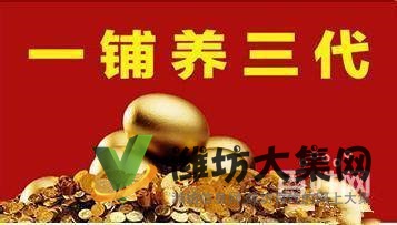 投入少,風(fēng)險(xiǎn)低,即買即分紅!