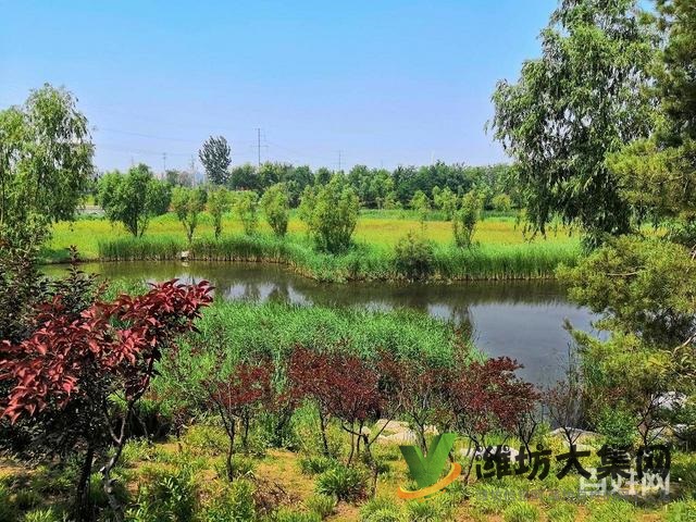 單價7000!買高新實(shí)驗(yàn)電梯房低公攤大H戶型南北通