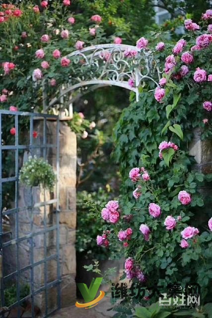 零!首付 頂!賬!房!一手房手續 包更名 江山一品