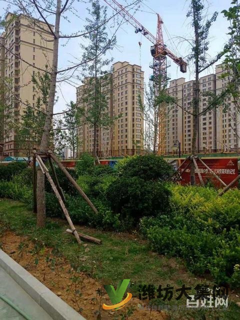 濰城區政府近 三室好房源 4680每平 不分樓層