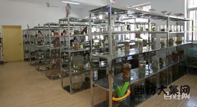 濰坊時代醫護學院怎么樣?招生辦電話多少