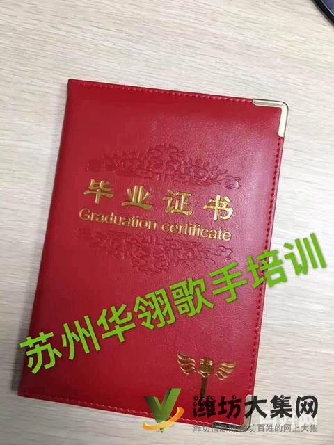 濰坊零基礎成人網紅舞 民族舞哪里好