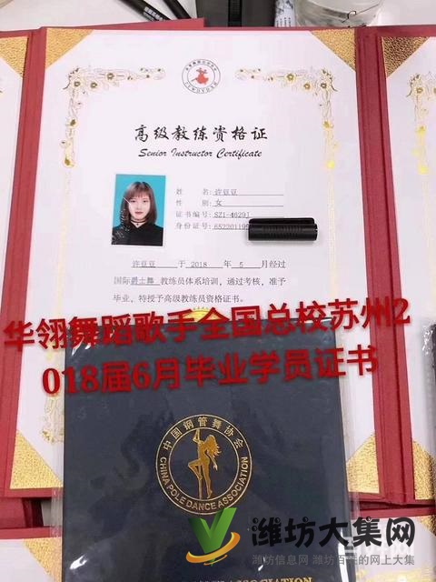 濰坊零基礎成人網紅舞 民族舞哪里好