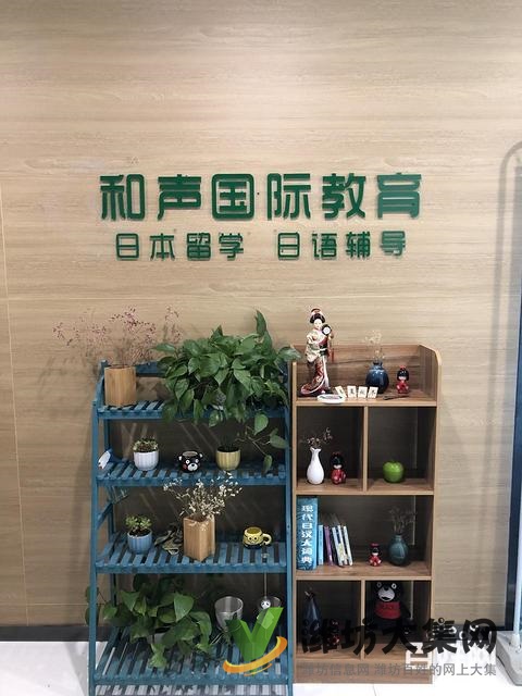 濰坊暑假學日語,找濰坊和聲國際教育