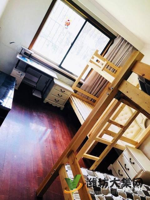 濰坊零基礎成人網紅舞 民族舞哪里好