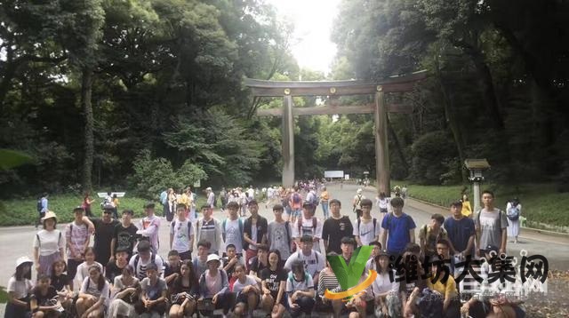 濰坊日語輔導,找濰坊和聲日本留學