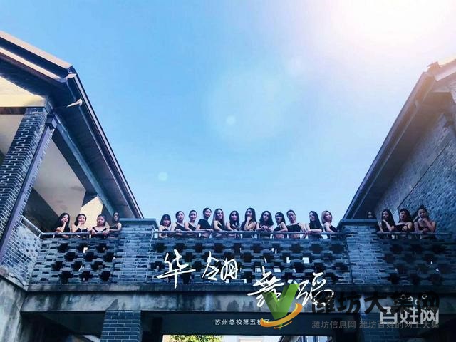 濰坊零基礎成人網紅舞 民族舞哪里好