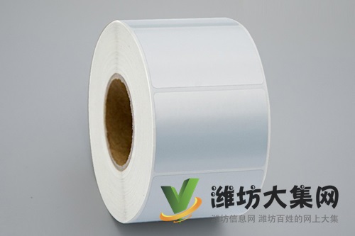 啞銀PET標簽60mm*30mm PET亮白標簽 耐高溫標簽廠家