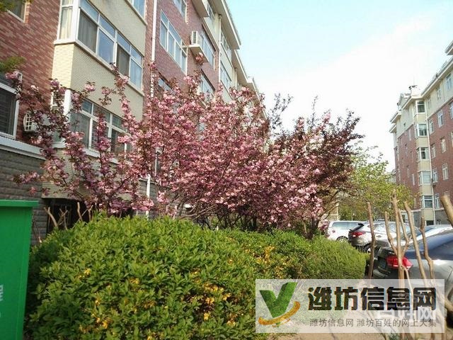 外國(guó)語(yǔ)近,政府小區(qū)稀 缺一樓,精裝修拎包入住,環(huán)境優(yōu)美物業(yè)