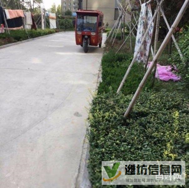 買奧體近大三室,超底價格,視野 開闊,全天采光南北通透