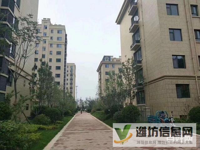 整租,圣基金碧廣場 2室85平挑高客廳 寬敞大氣 雙氣供暖