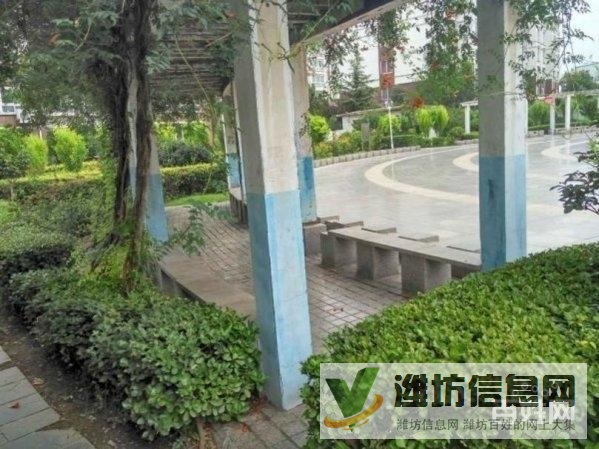 金都家園(濰城) 環境好 精裝全齊 隨時看房 拎包入住69