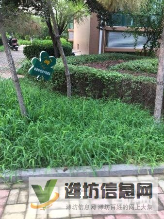 虞河畔德潤左岸華庭精裝3室2廳3室朝陽房主外地發展