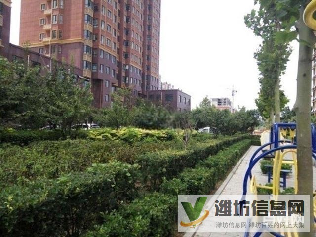 直降5萬 三天必賣 五中近 金都北苑 婚房精裝三室110平