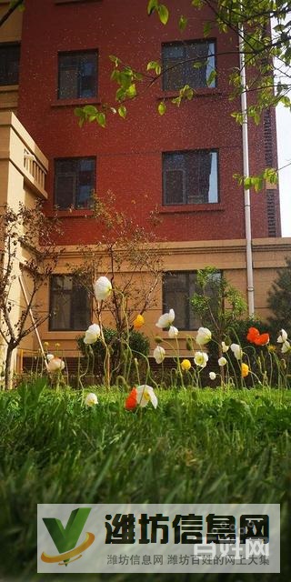 市北區(qū)中心,精裝學(xué)區(qū)房,火爆搶購中